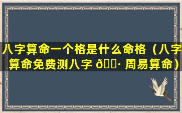 八字算命一个格是什么命格（八字算命免费测八字 🌷 周易算命）